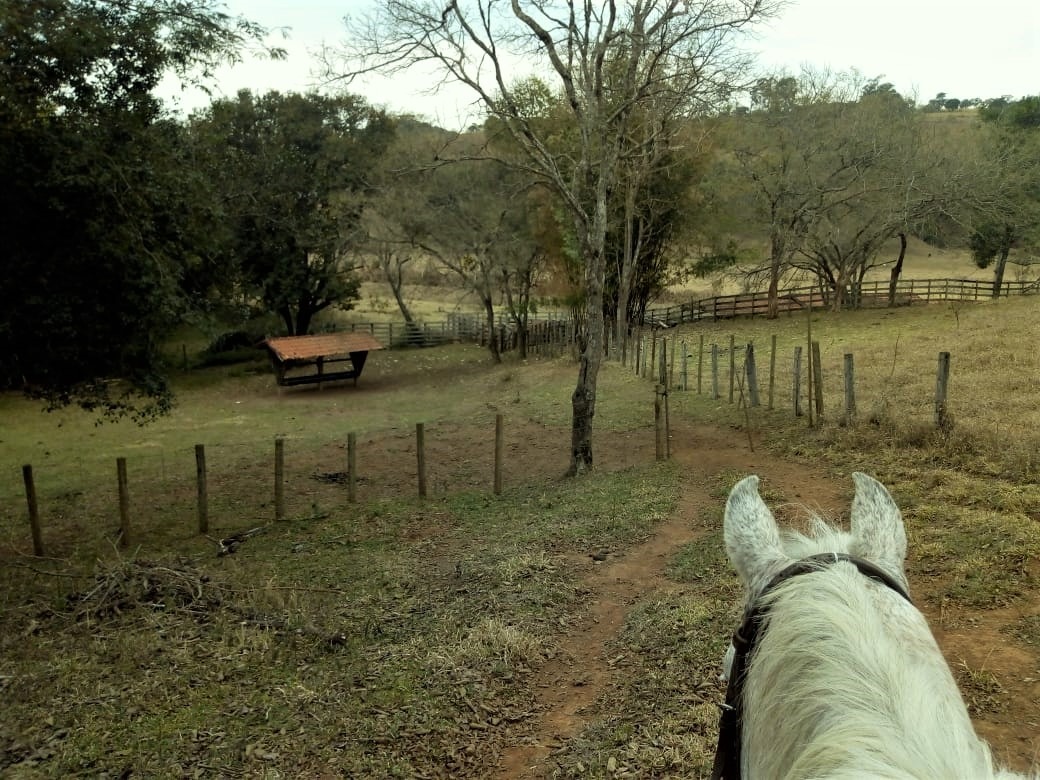 Chácara à venda com 1 quarto, 532400m² - Foto 16