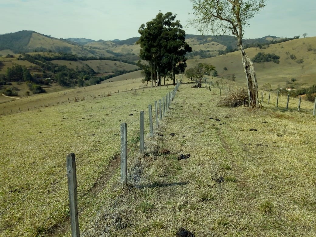 Chácara à venda com 1 quarto, 532400m² - Foto 21