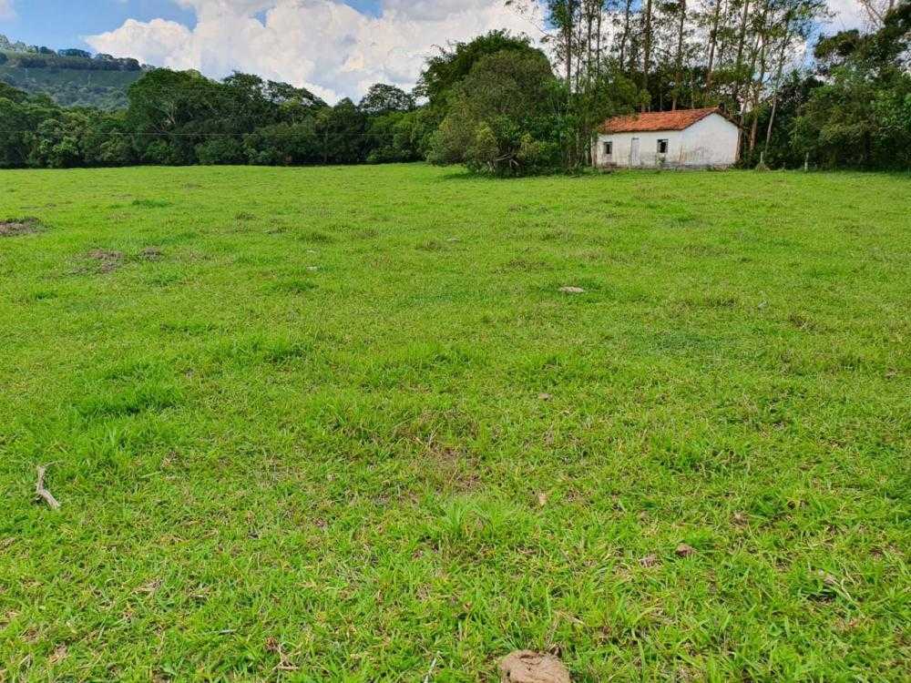 Chácara à venda com 4 quartos, 798600m² - Foto 15