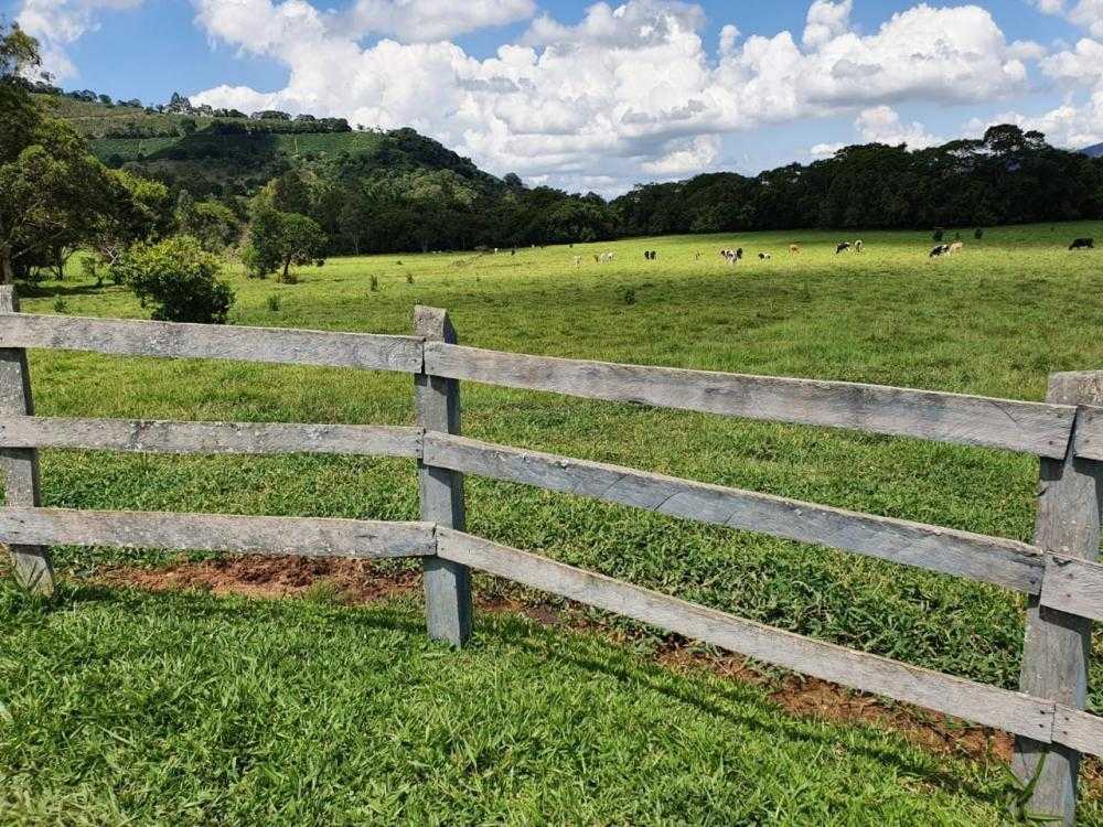 Chácara à venda com 4 quartos, 798600m² - Foto 17