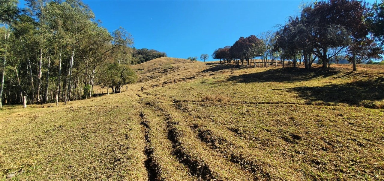 Chácara à venda com 4 quartos, 798600m² - Foto 4