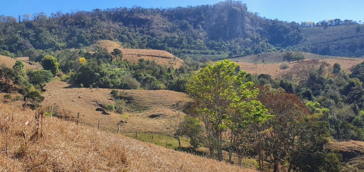 Chácara à venda com 4 quartos, 798600m² - Foto 8