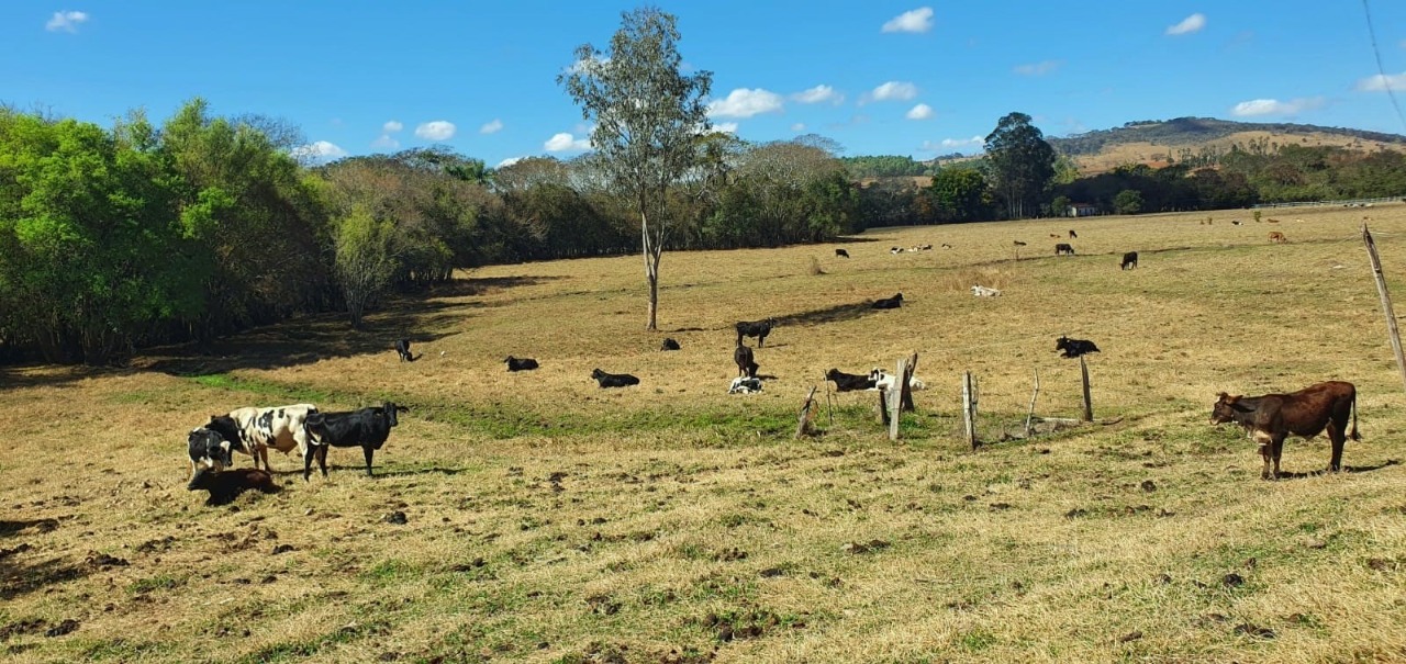 Chácara à venda com 4 quartos, 798600m² - Foto 1