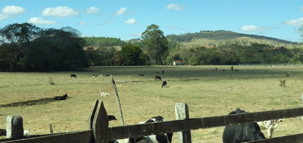 Chácara à venda com 4 quartos, 798600m² - Foto 3