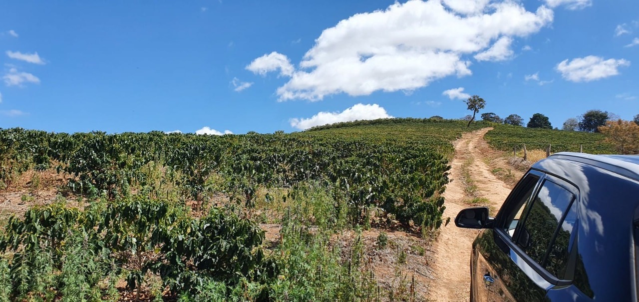 Chácara à venda com 2 quartos, 278300m² - Foto 6