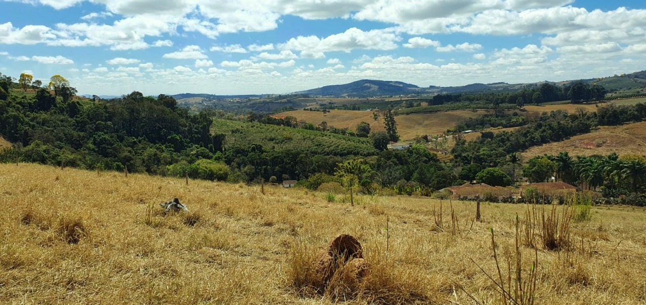 Chácara à venda com 2 quartos, 278300m² - Foto 9