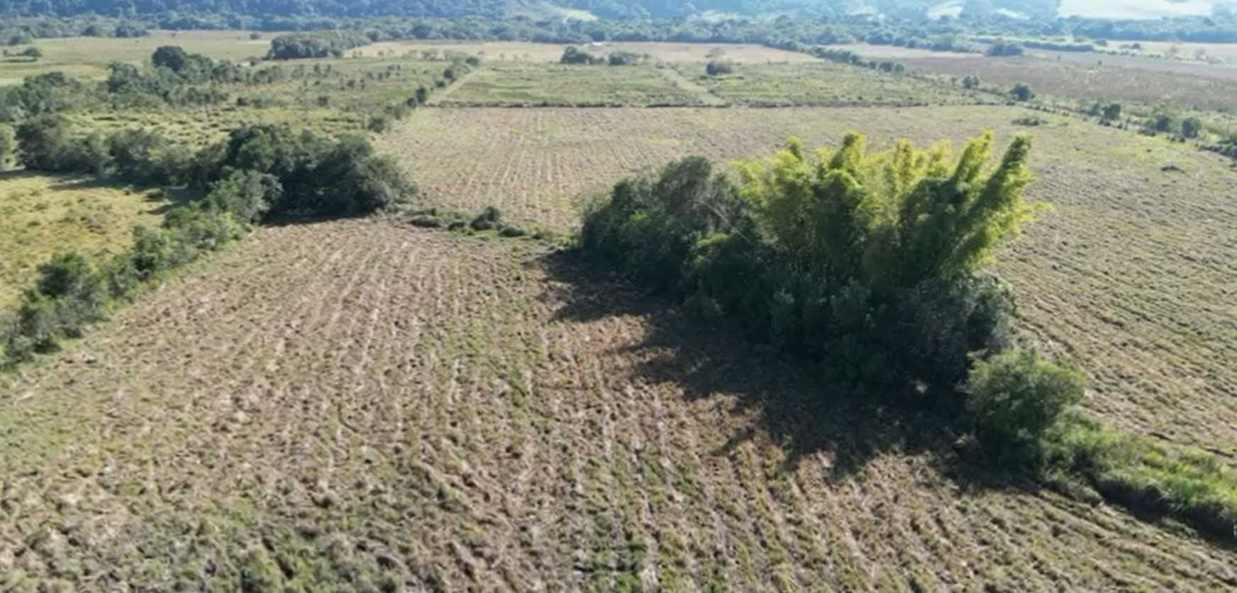 Chácara à venda com 2 quartos, 210000m² - Foto 11