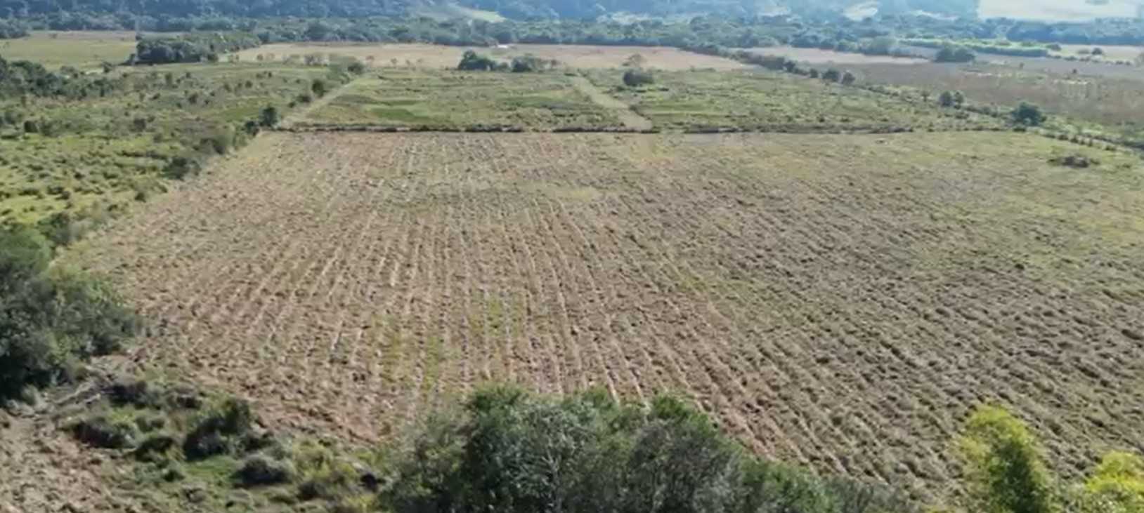 Chácara à venda com 2 quartos, 210000m² - Foto 12