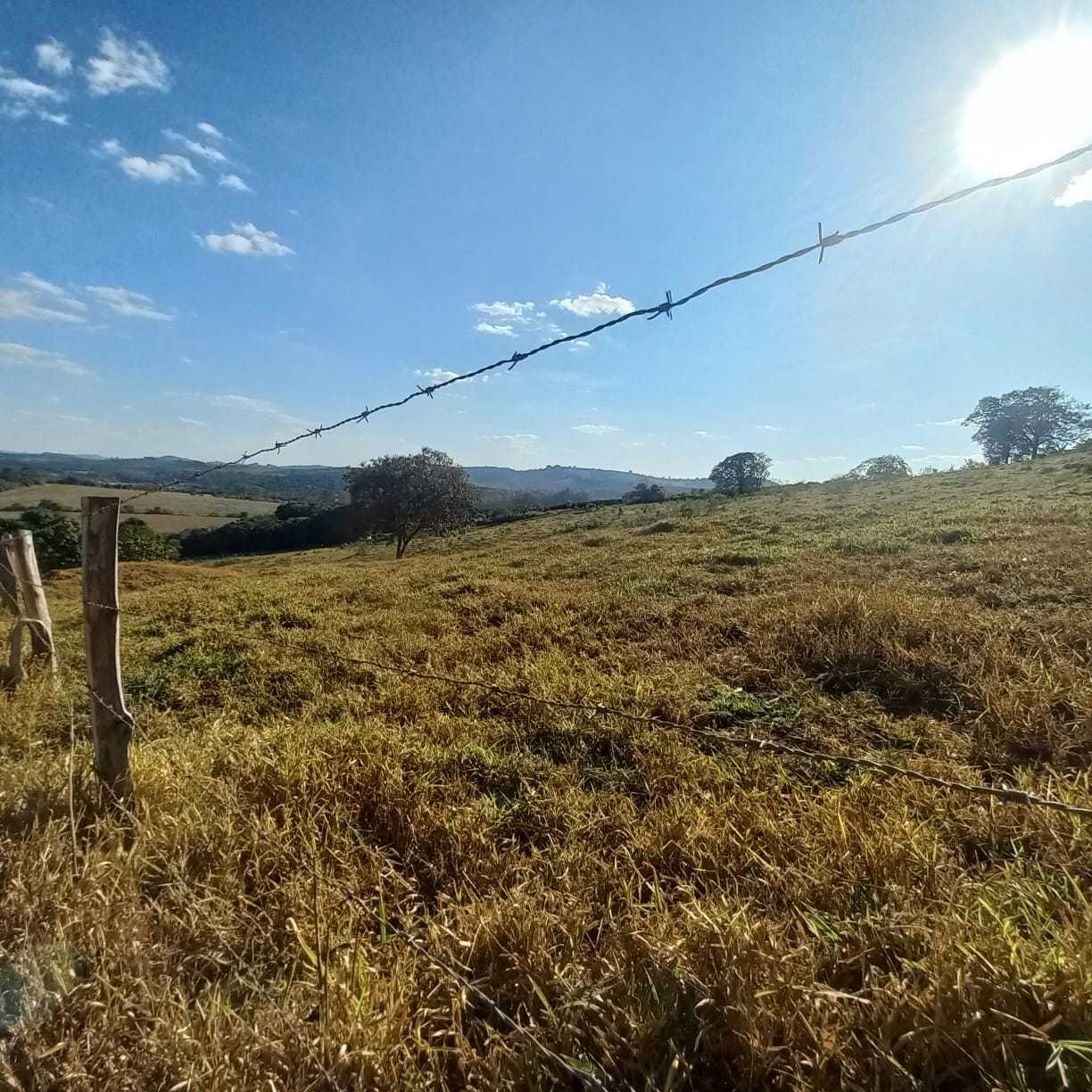 Chácara à venda com 1 quarto, 54300m² - Foto 7