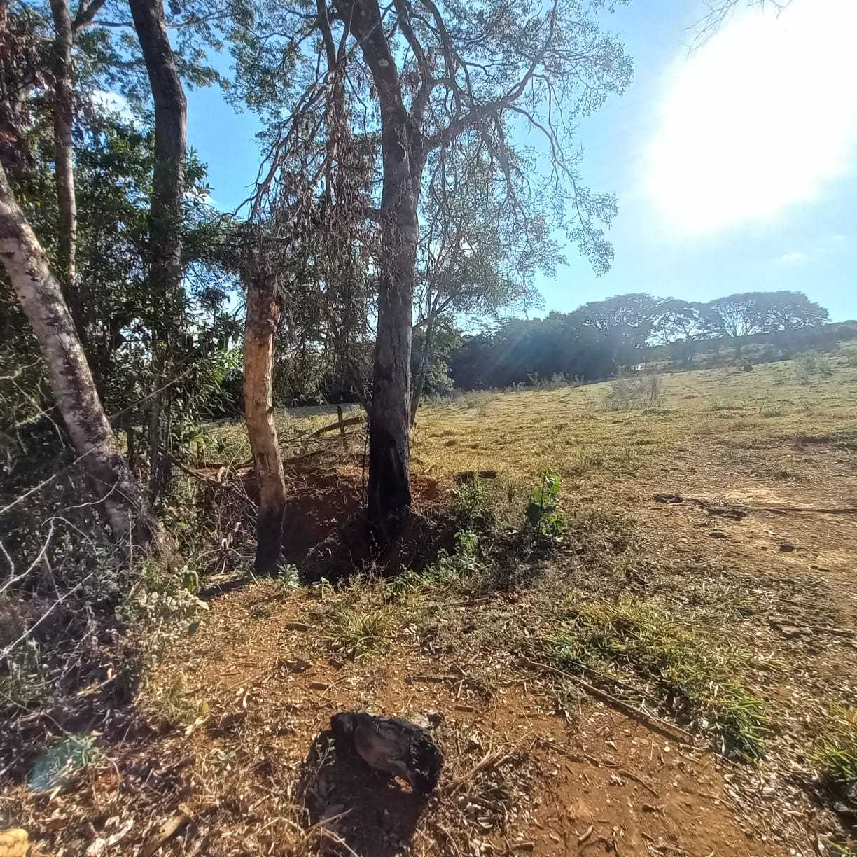 Chácara à venda com 1 quarto, 54300m² - Foto 5