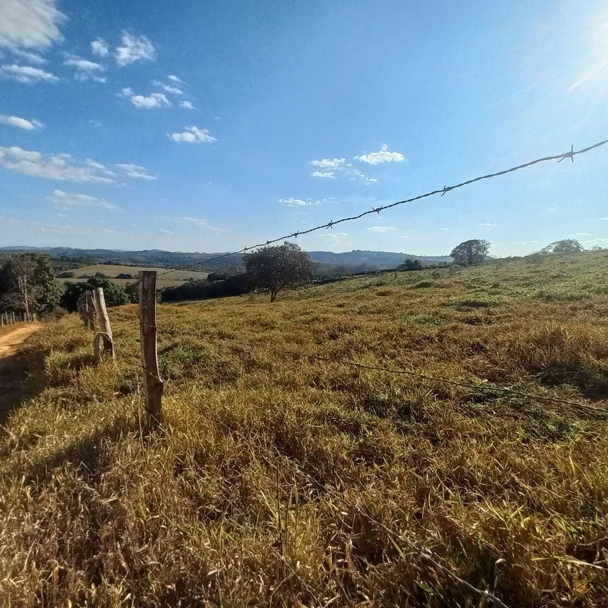 Chácara à venda com 1 quarto, 54300m² - Foto 3