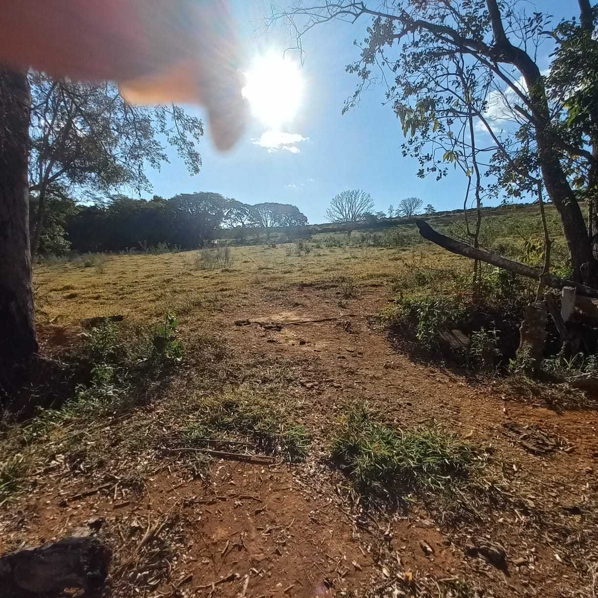 Chácara à venda com 1 quarto, 54300m² - Foto 6