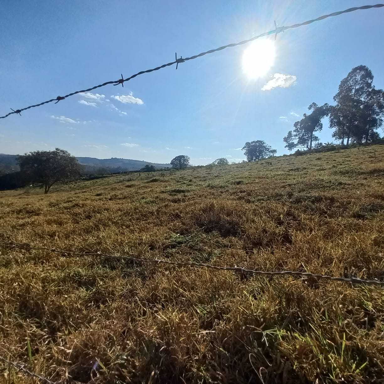 Chácara à venda com 1 quarto, 54300m² - Foto 1