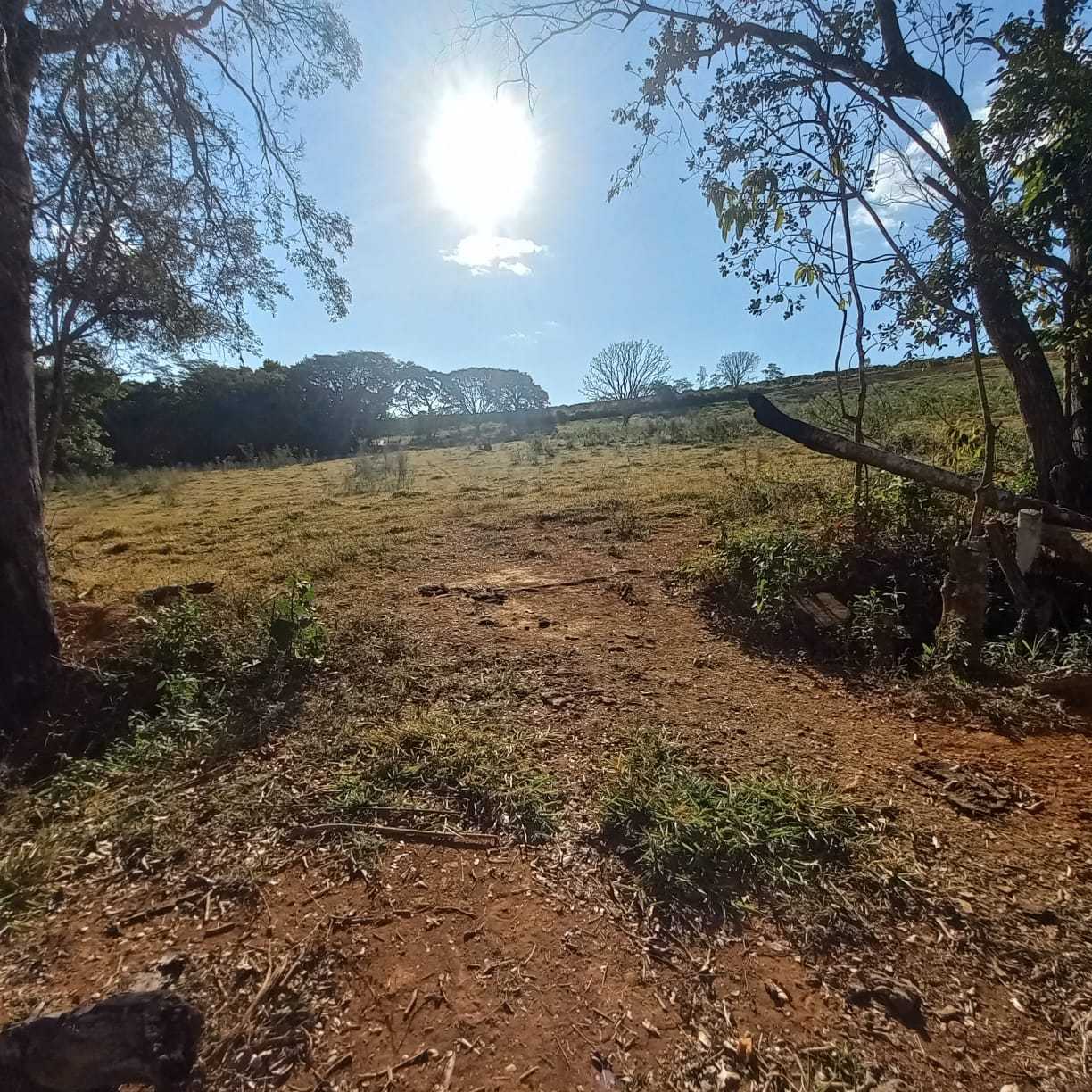 Chácara à venda com 1 quarto, 54300m² - Foto 8