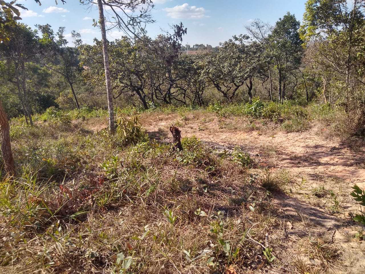 Chácara à venda com 1 quarto, 1000m² - Foto 16