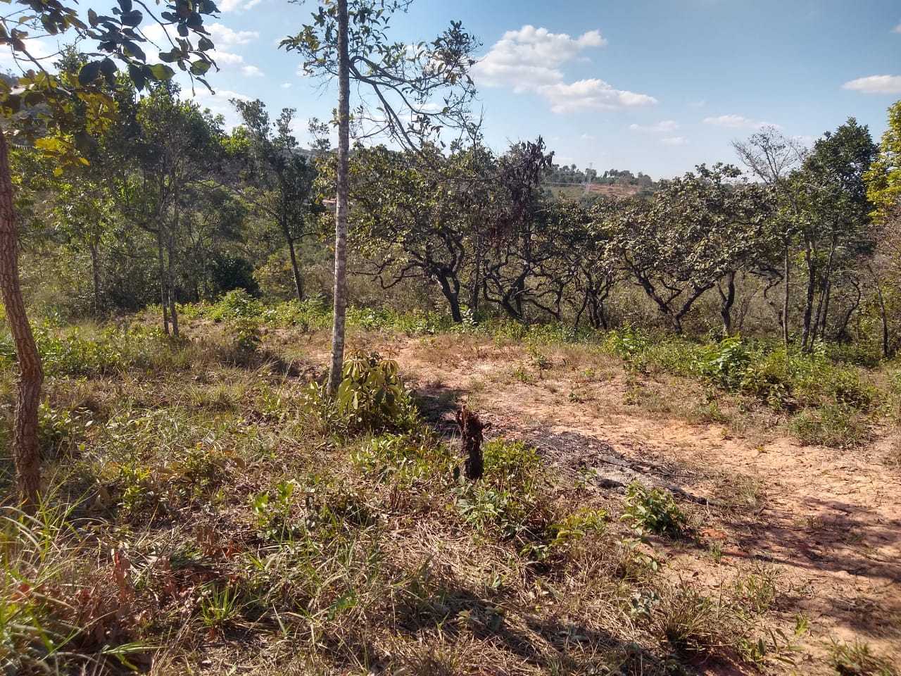 Chácara à venda com 1 quarto, 1000m² - Foto 14