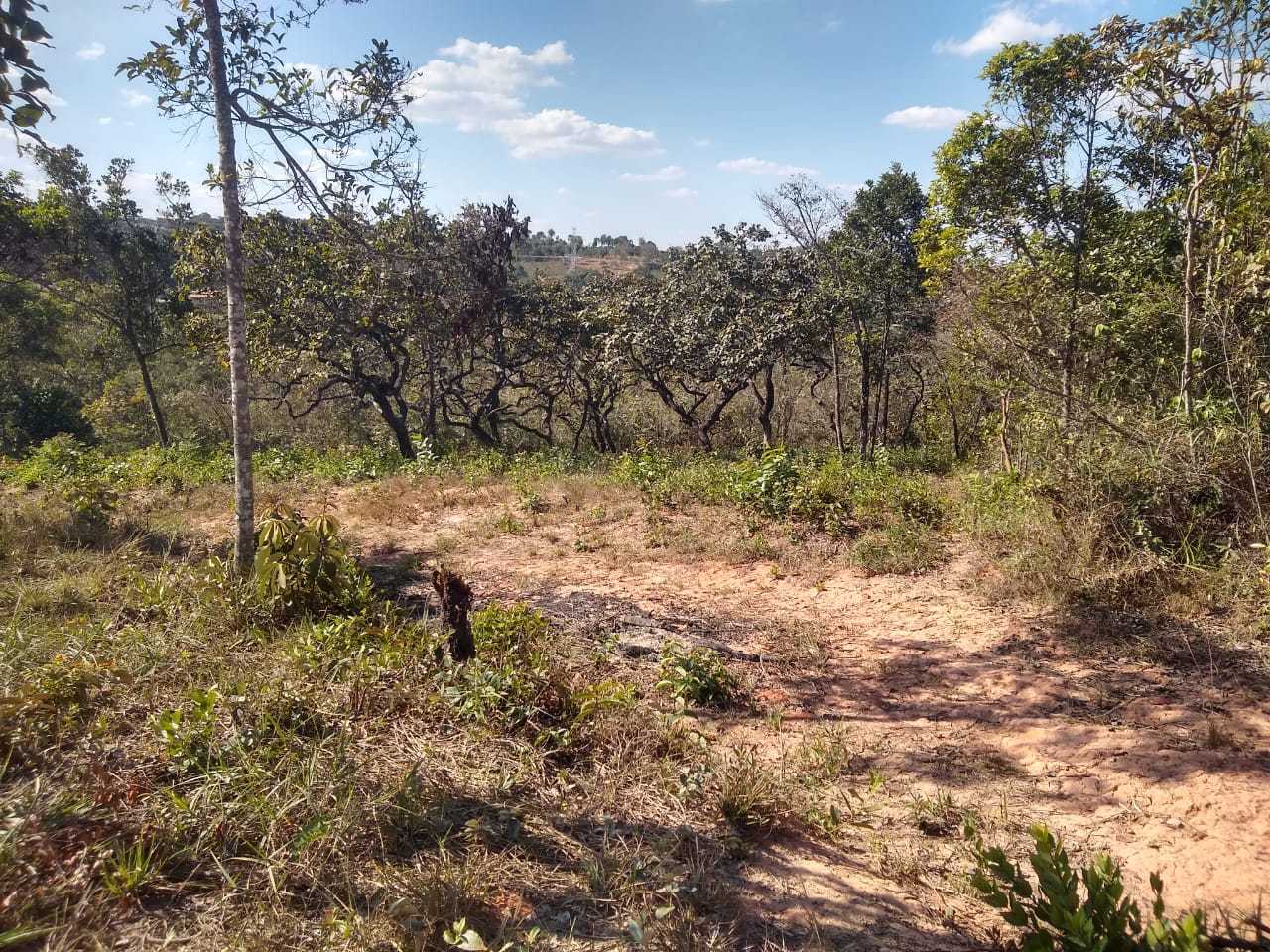 Chácara à venda com 1 quarto, 1000m² - Foto 10