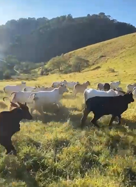 Chácara à venda com 4 quartos, 2855600m² - Foto 24