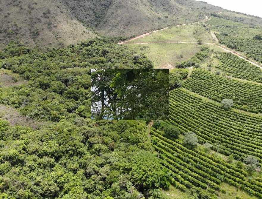 Chácara à venda com 5 quartos, 1420000m² - Foto 25