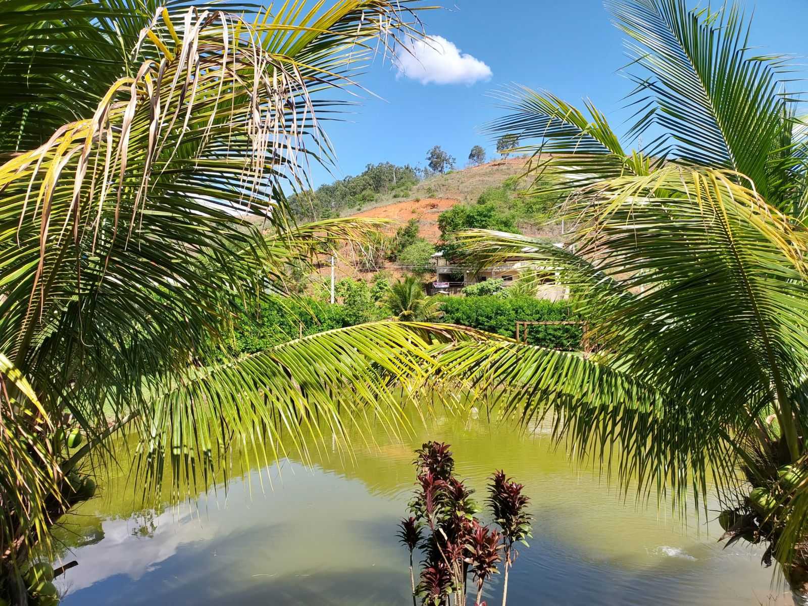 Chácara à venda com 4 quartos, 5400m² - Foto 3