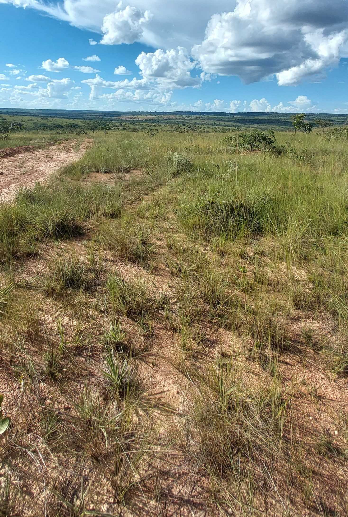 Chácara à venda com 1 quarto, 6150000m² - Foto 20