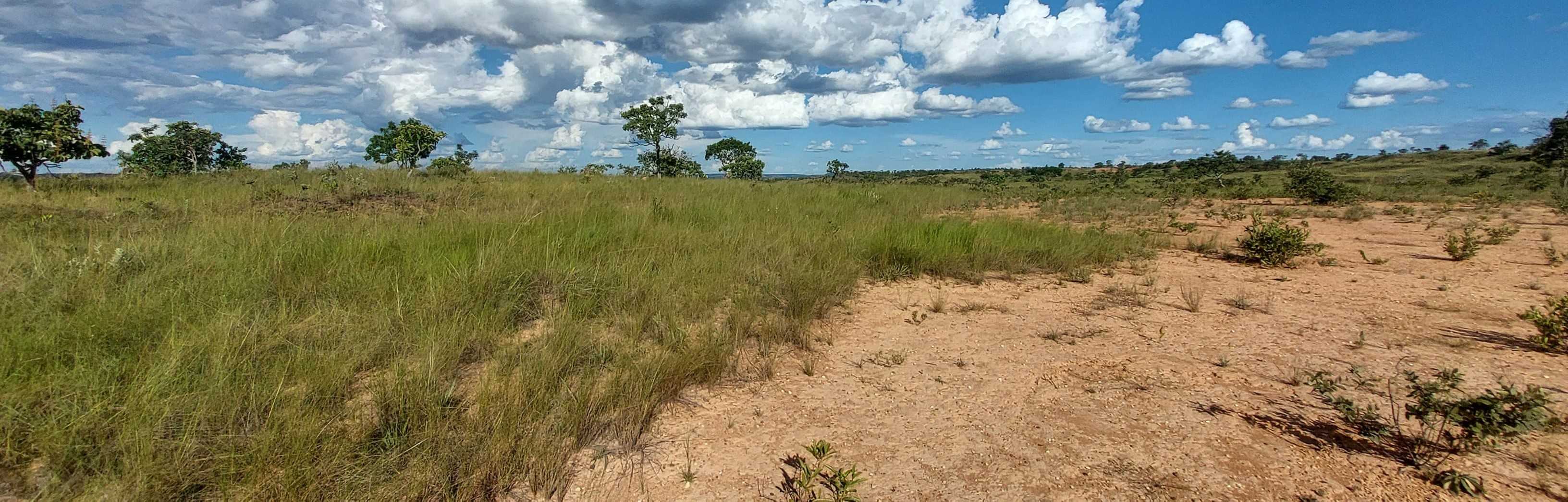 Chácara à venda com 1 quarto, 6150000m² - Foto 21