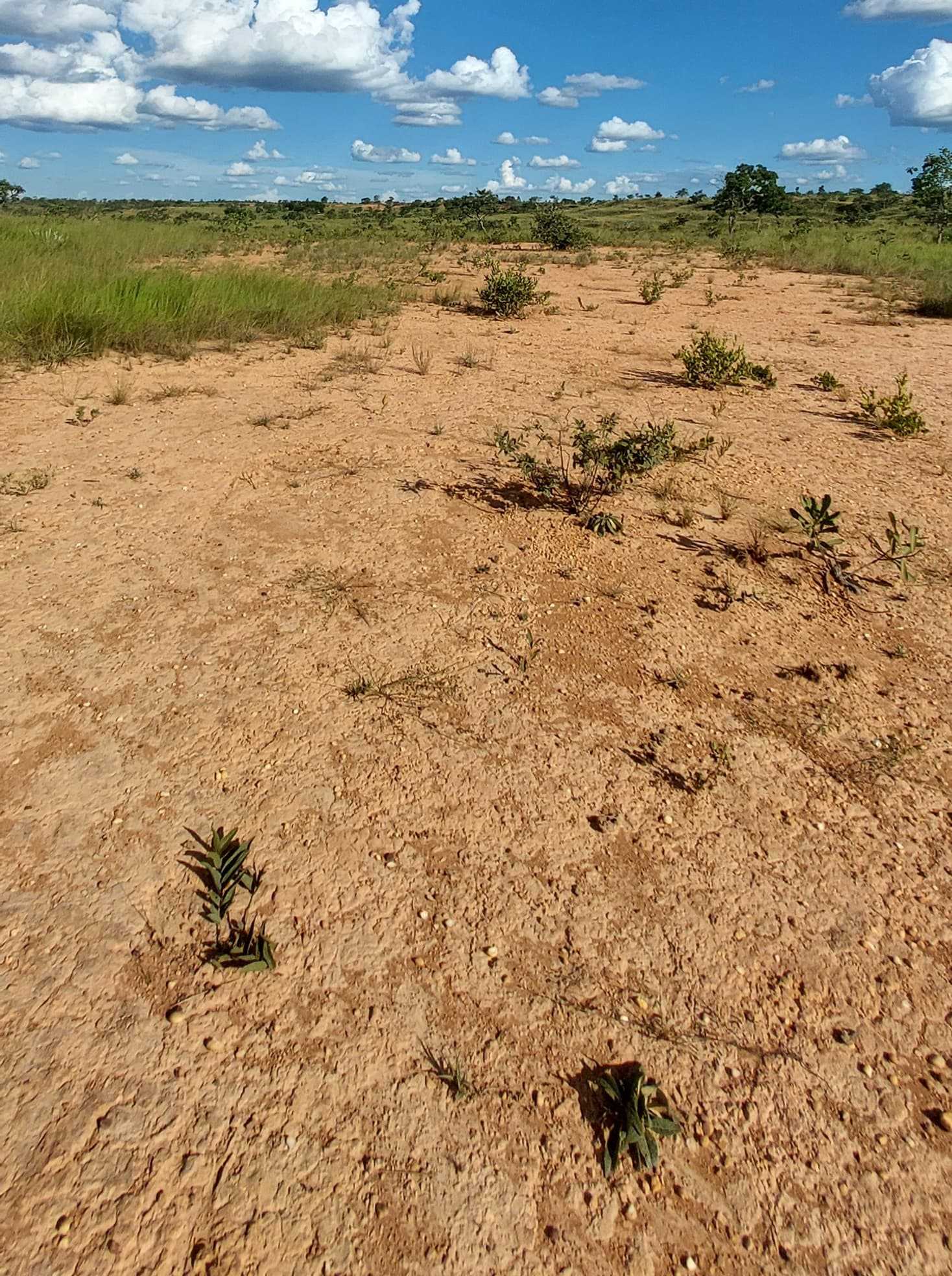 Chácara à venda com 1 quarto, 6150000m² - Foto 25