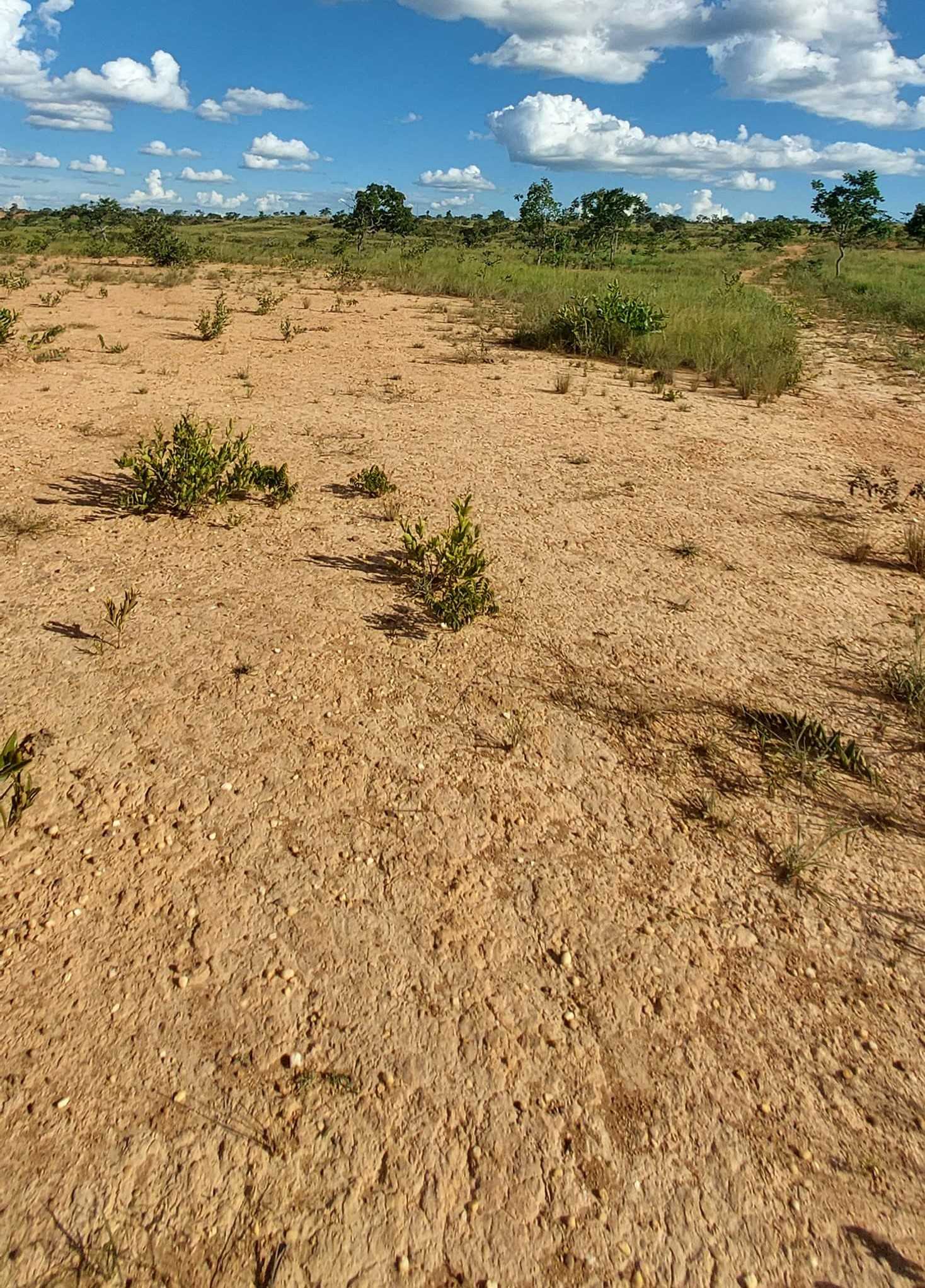 Chácara à venda com 1 quarto, 6150000m² - Foto 23