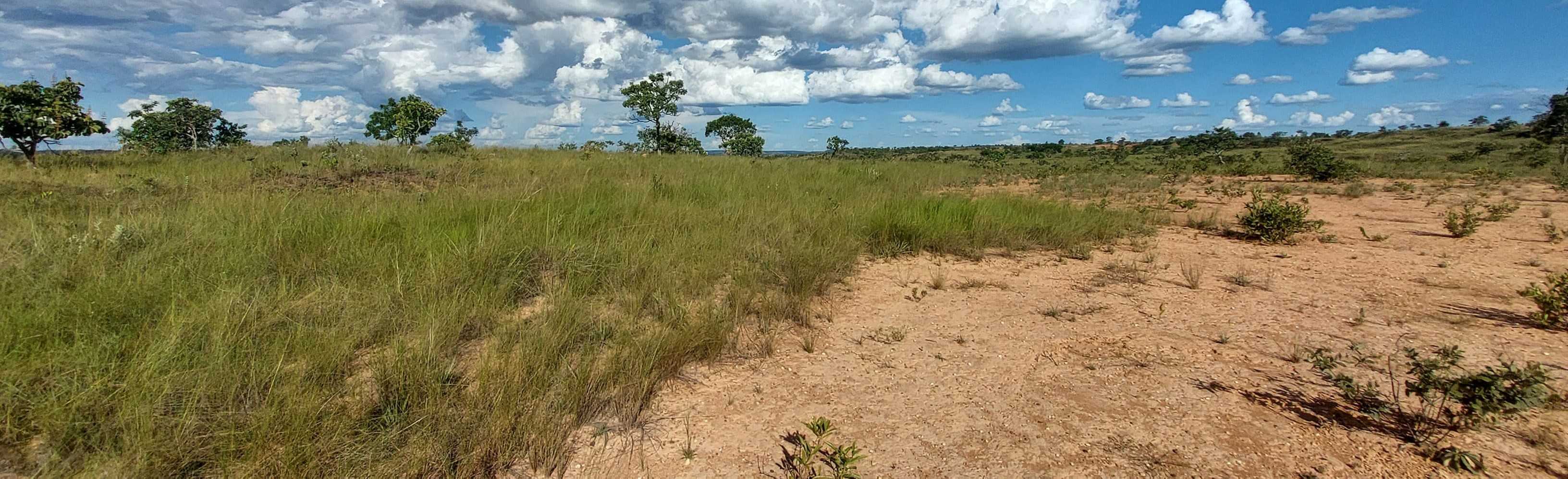 Chácara à venda com 1 quarto, 6150000m² - Foto 16