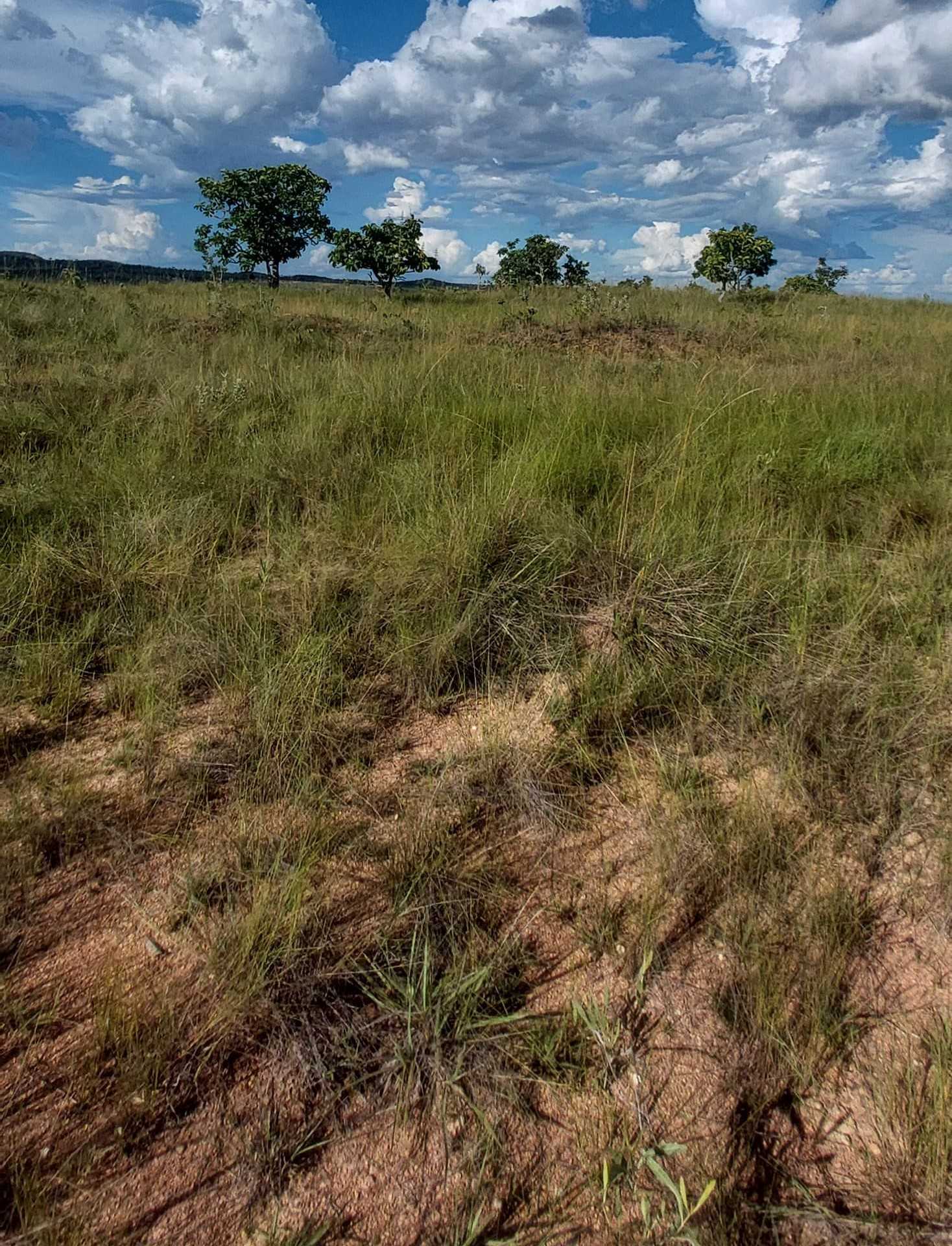 Chácara à venda com 1 quarto, 6150000m² - Foto 18