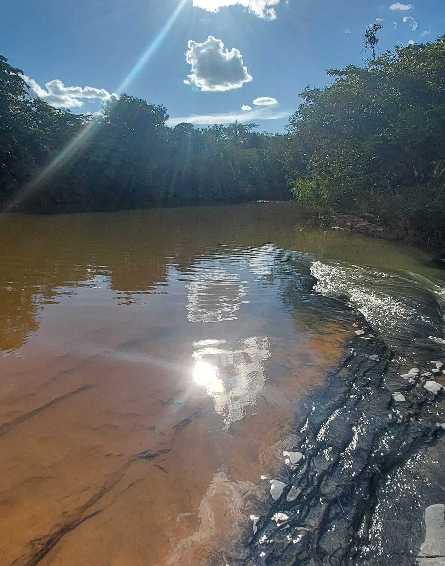 Chácara à venda com 1 quarto, 6150000m² - Foto 10