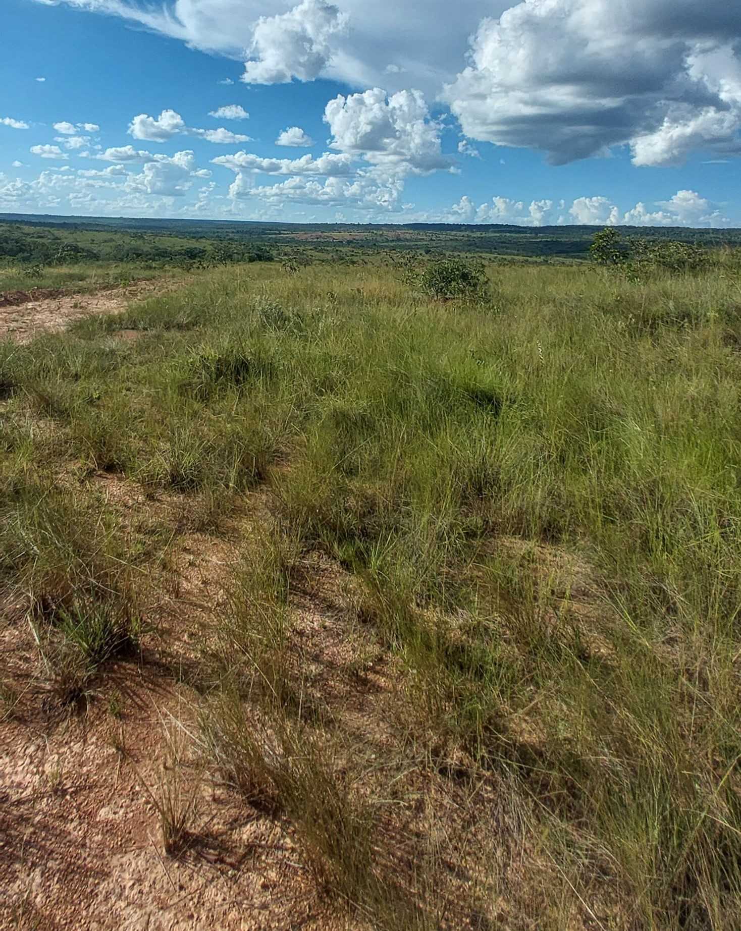 Chácara à venda com 1 quarto, 6150000m² - Foto 22