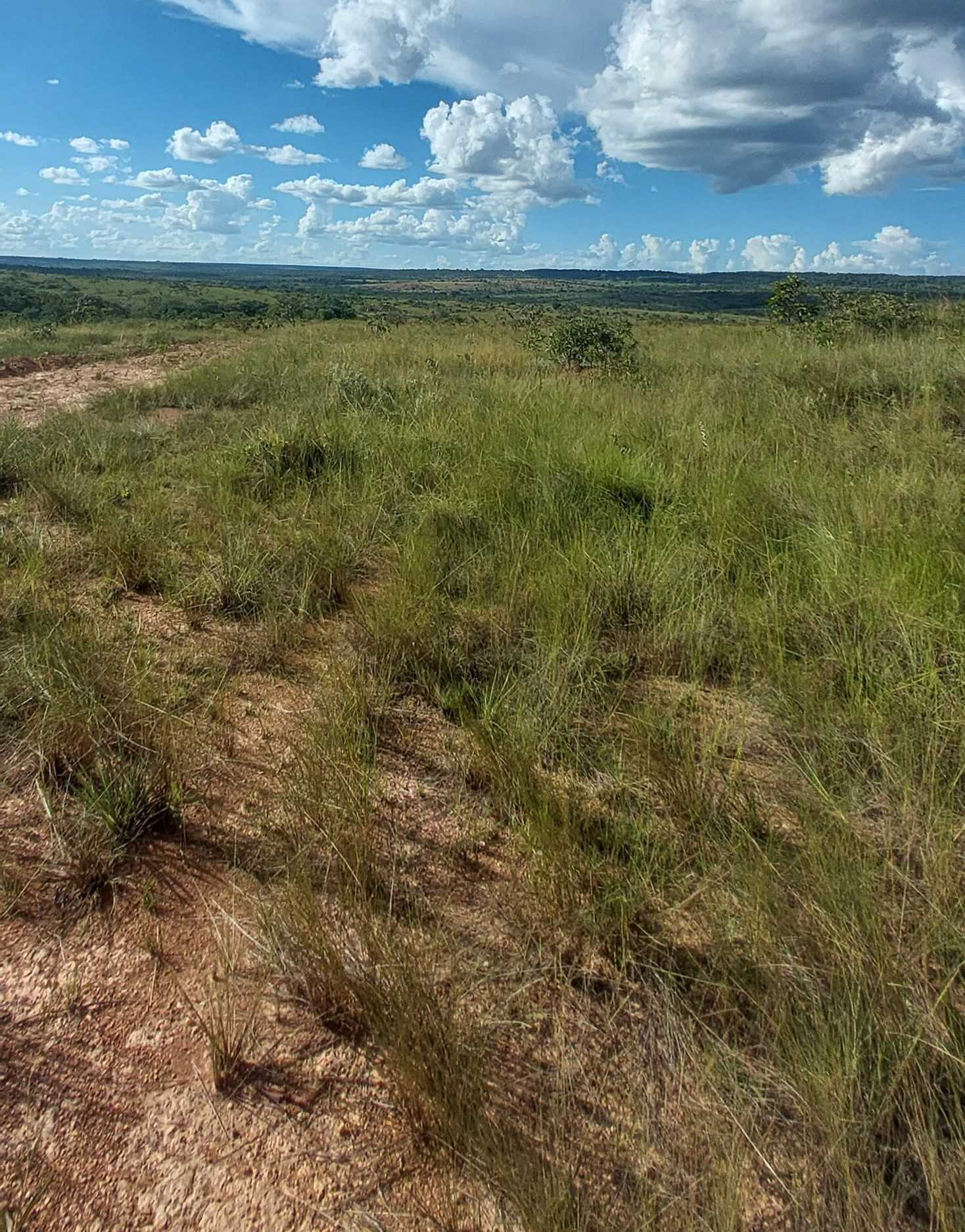 Chácara à venda com 1 quarto, 6150000m² - Foto 19