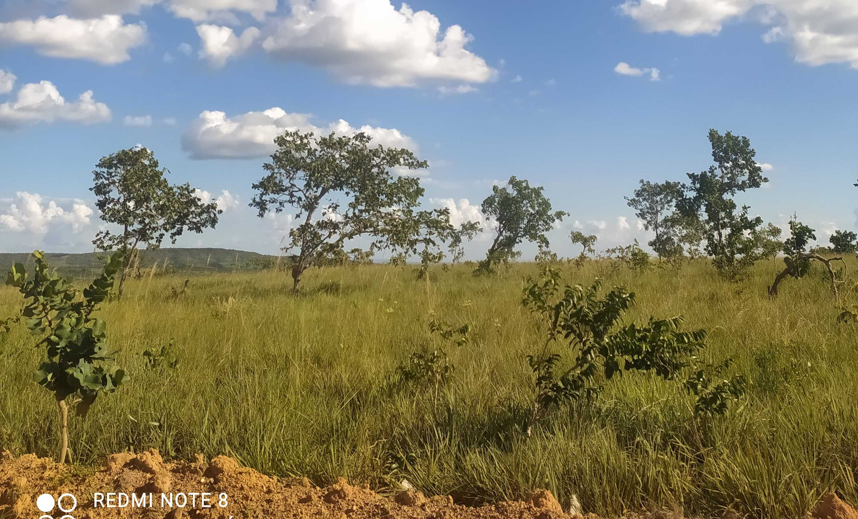 Chácara à venda com 1 quarto, 6150000m² - Foto 8