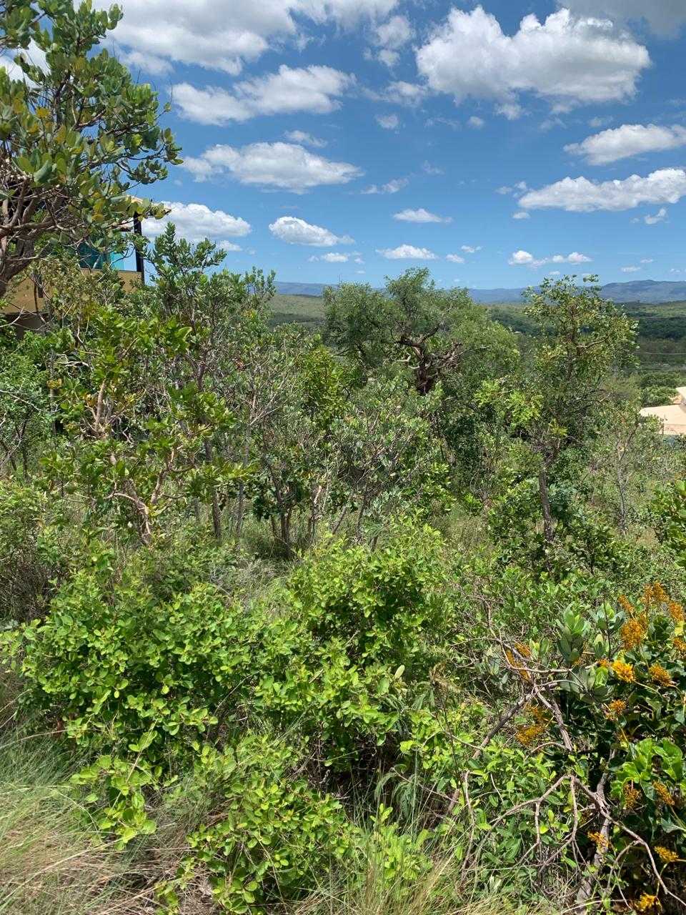 Terreno à venda, 1000m² - Foto 14