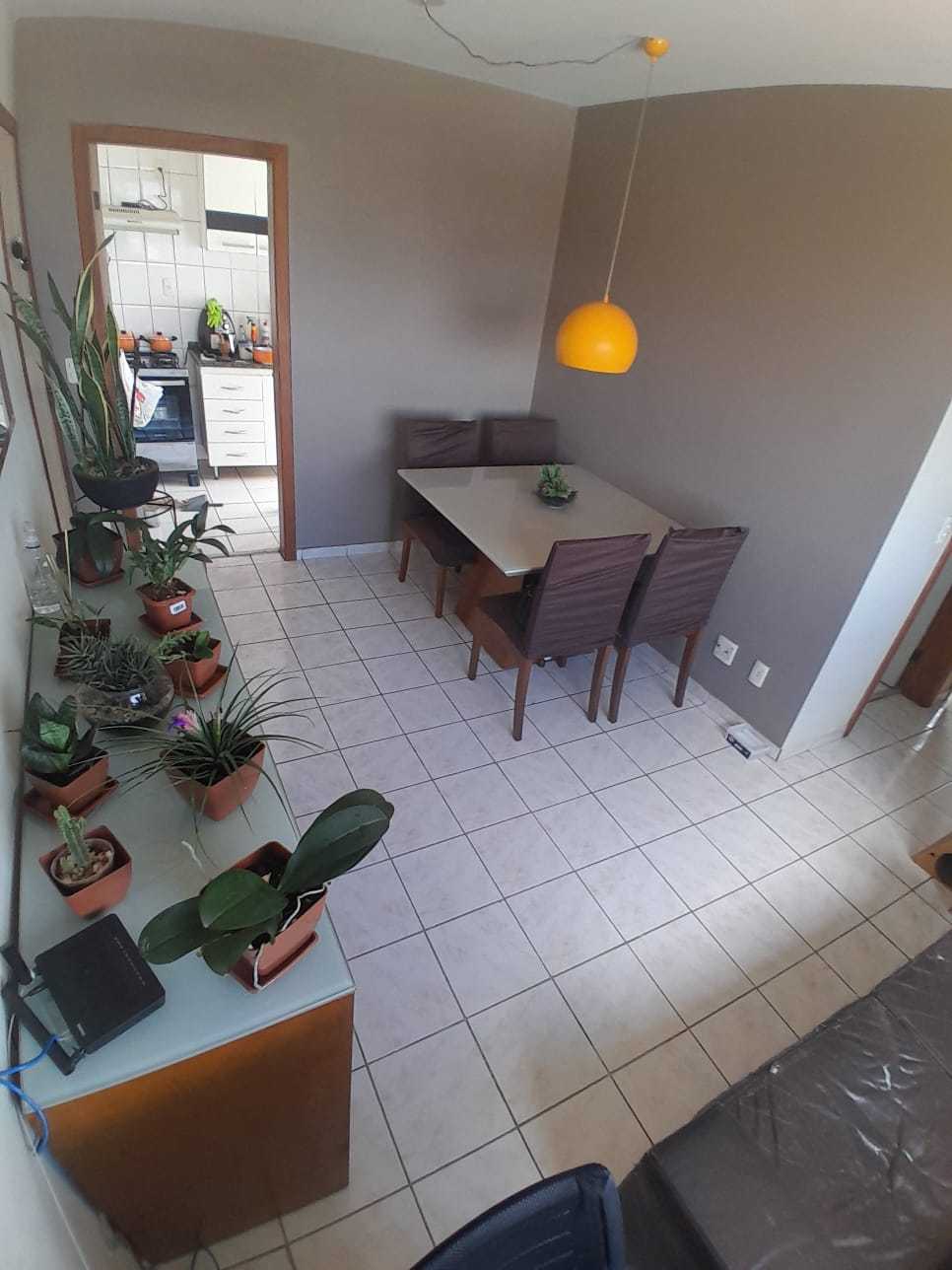 Apartamento à venda com 3 quartos, 60m² - Foto 2