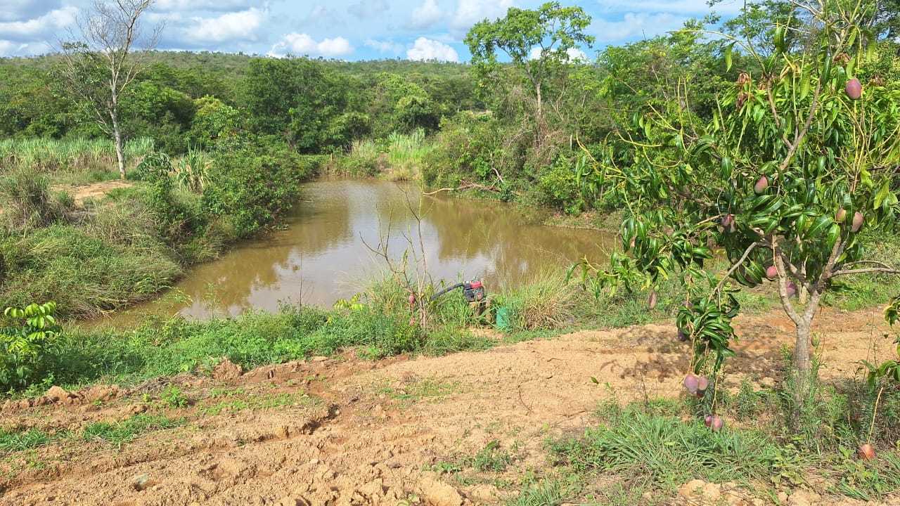 Chácara à venda com 1 quarto, 11m² - Foto 13