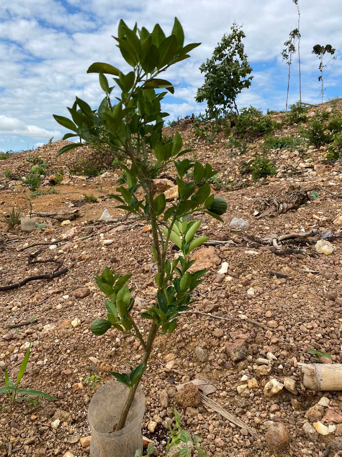 Terreno à venda, 1000m² - Foto 21