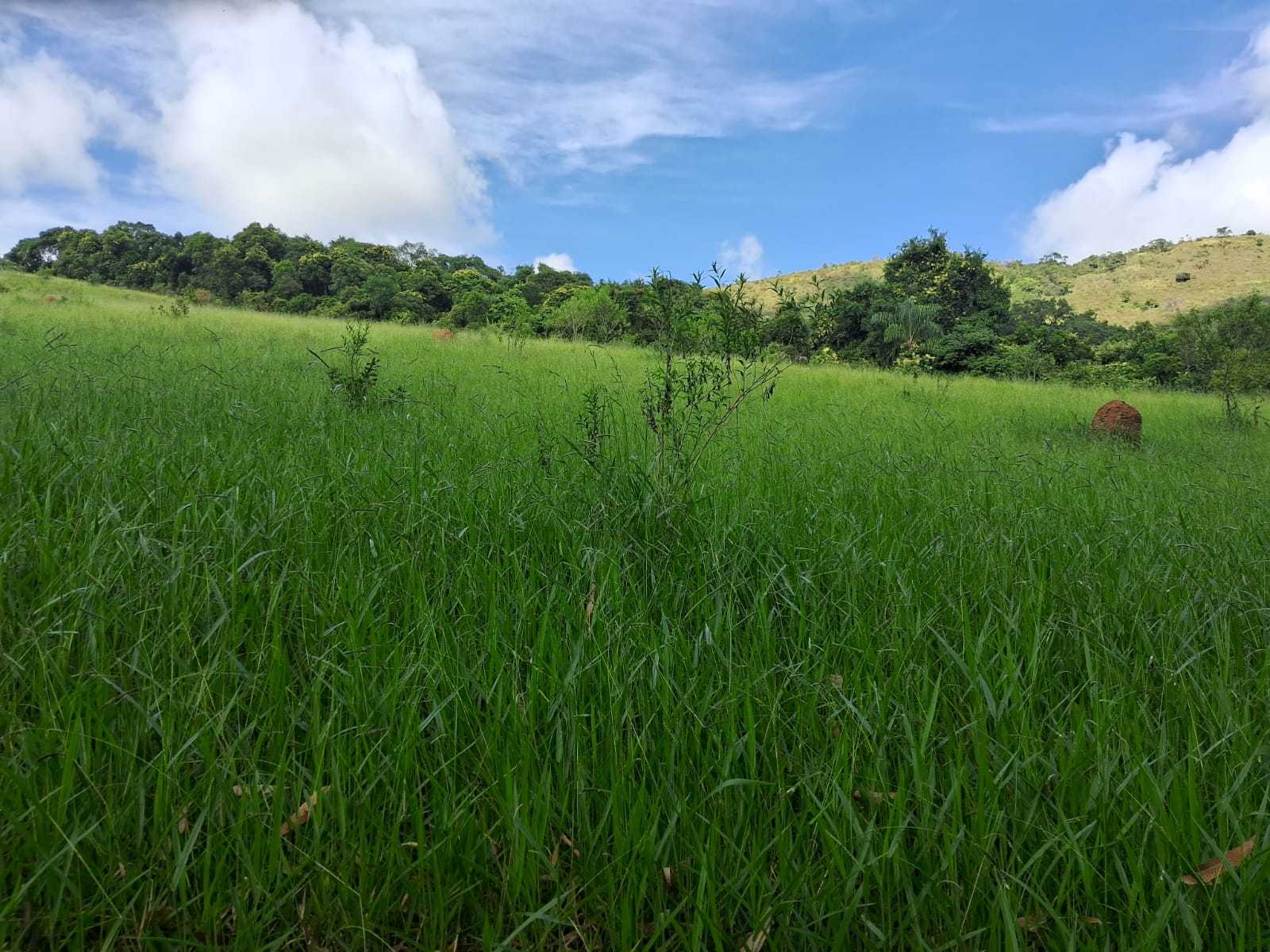 Chácara à venda com 3 quartos, 1790800m² - Foto 13