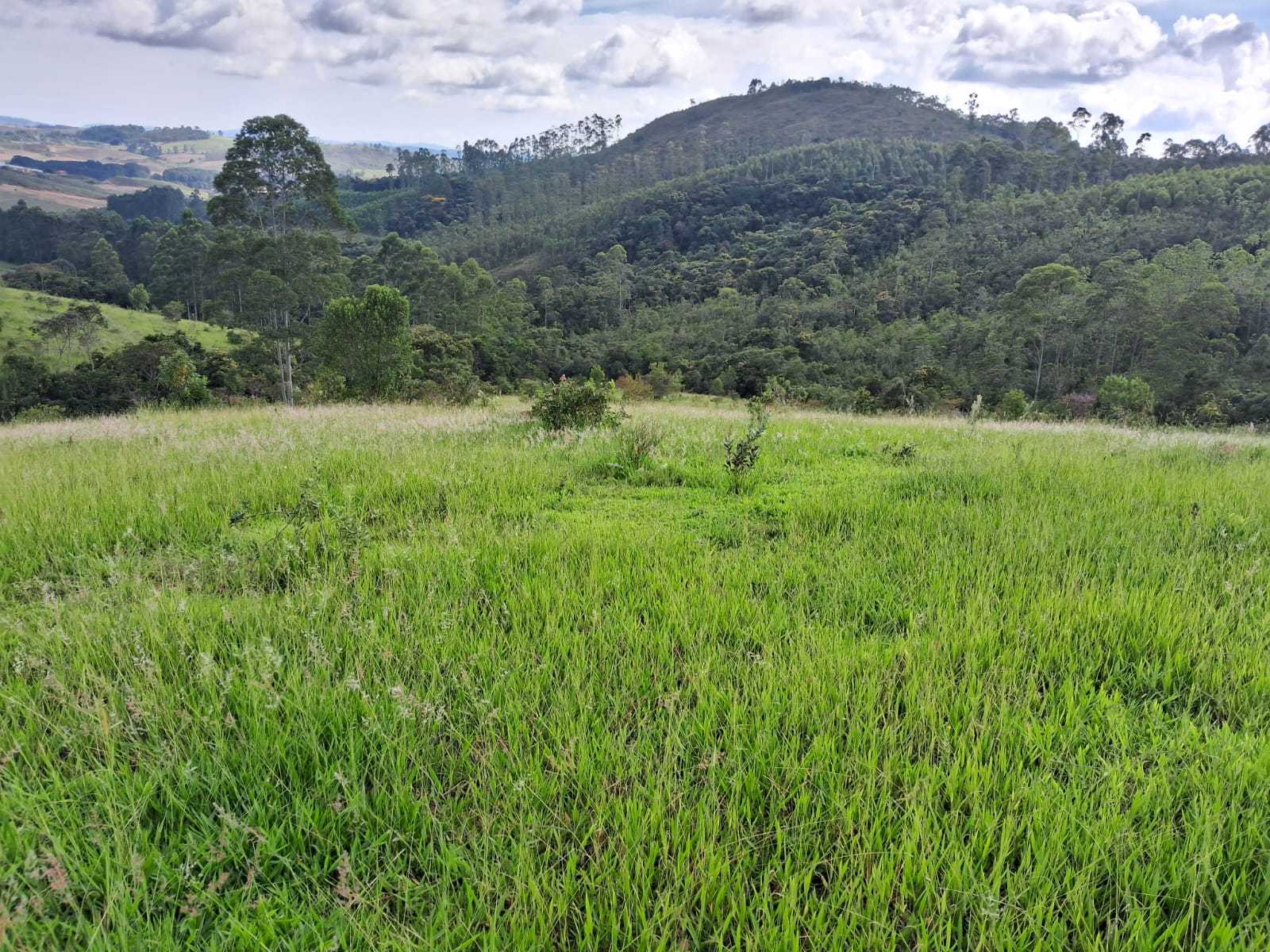 Chácara à venda com 3 quartos, 1790800m² - Foto 7