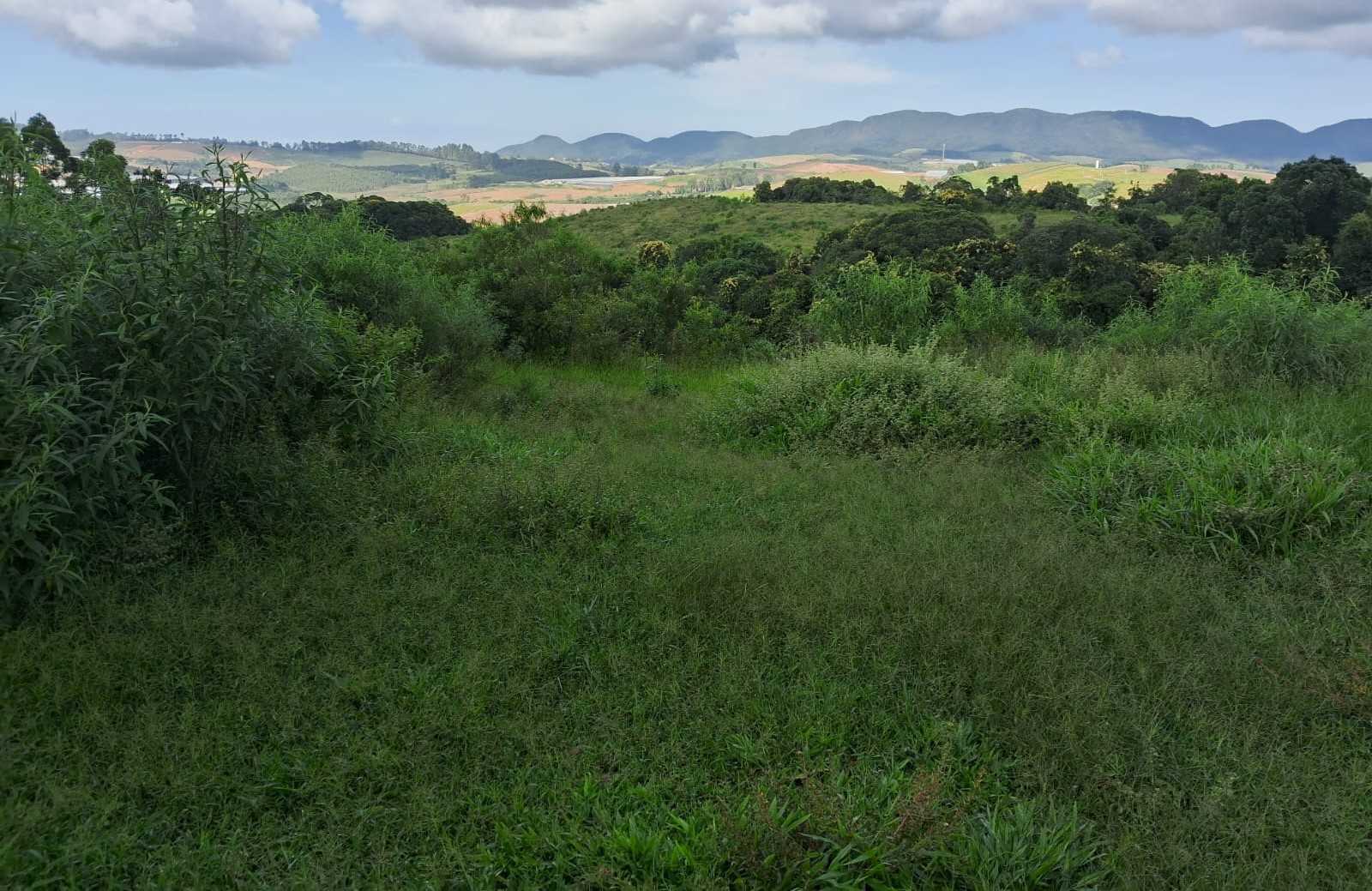 Chácara à venda com 3 quartos, 1790800m² - Foto 8