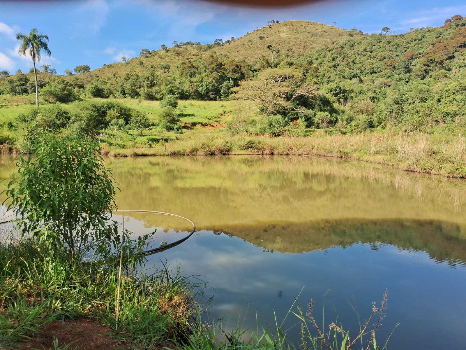 Chácara à venda com 3 quartos, 1790800m² - Foto 19