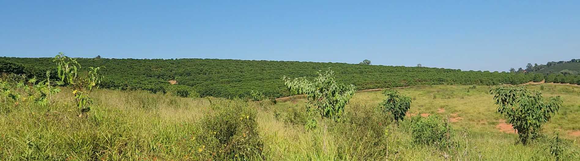 Chácara à venda com 3 quartos, 1260000m² - Foto 3