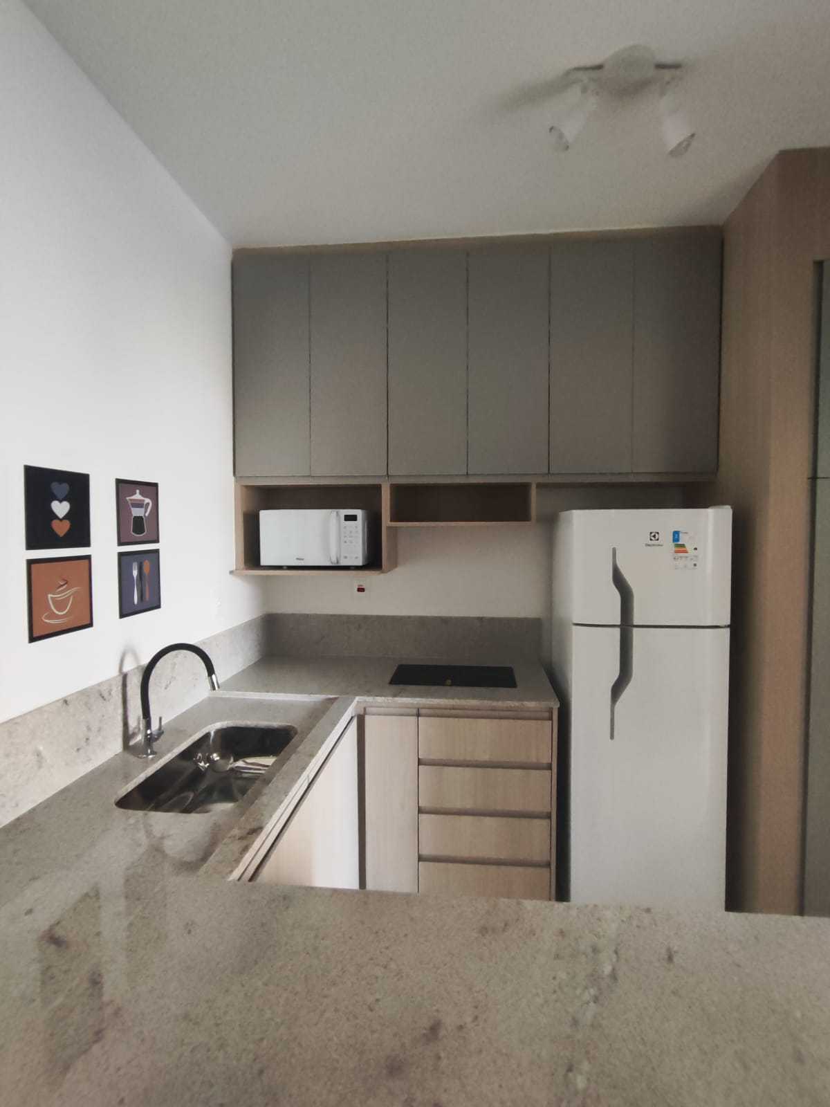 Apartamento para alugar com 1 quarto, 30m² - Foto 1