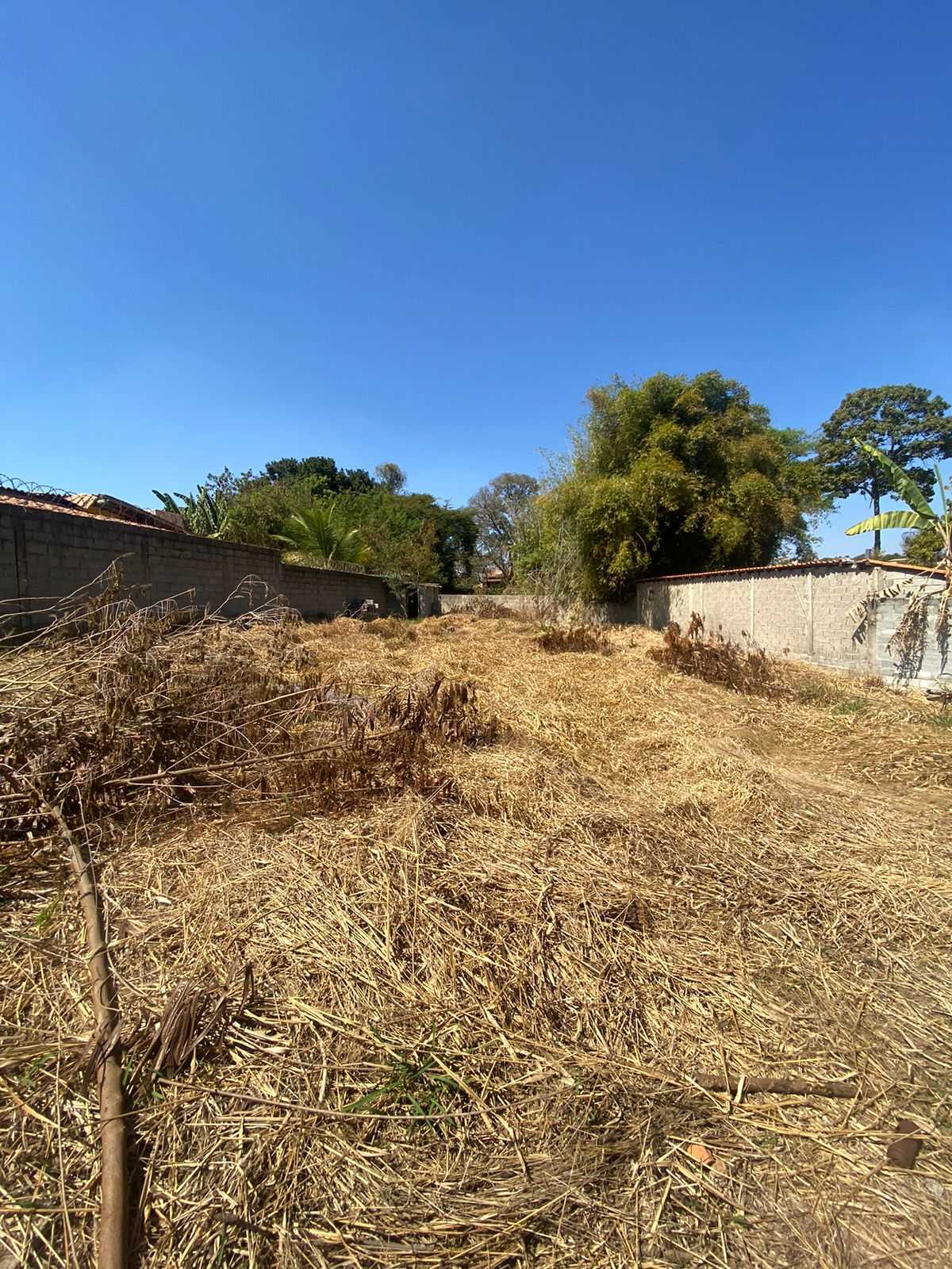 Terreno à venda, 800m² - Foto 1