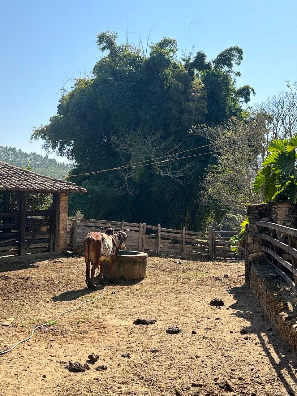 Chácara à venda com 7 quartos, 450000m² - Foto 22