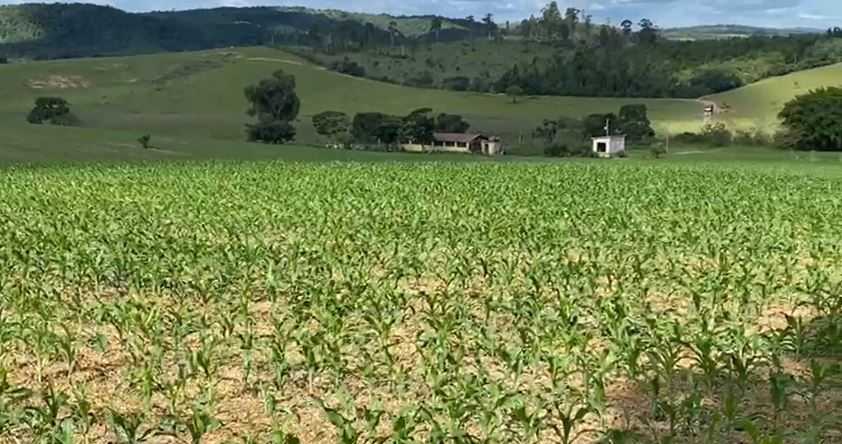 Chácara à venda com 1 quarto, 1870000m² - Foto 22