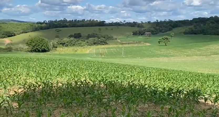 Chácara à venda com 1 quarto, 1870000m² - Foto 20