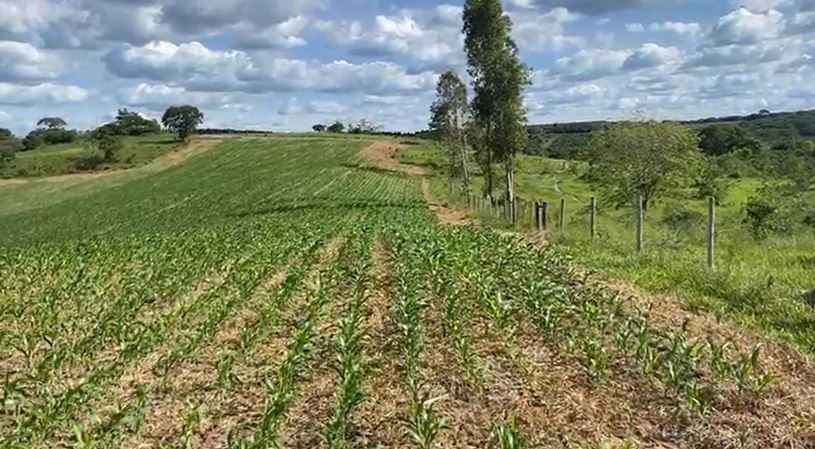 Chácara à venda com 1 quarto, 1870000m² - Foto 19