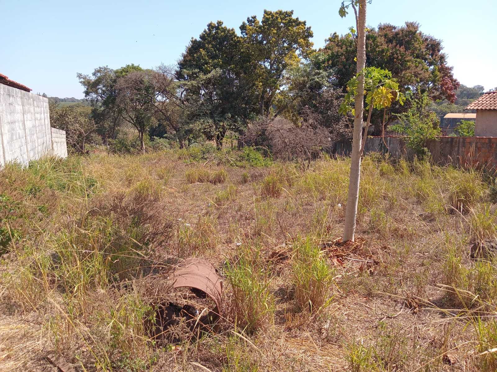 Terreno à venda - Foto 2